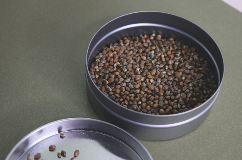 Can dogs eat hemp seeds?