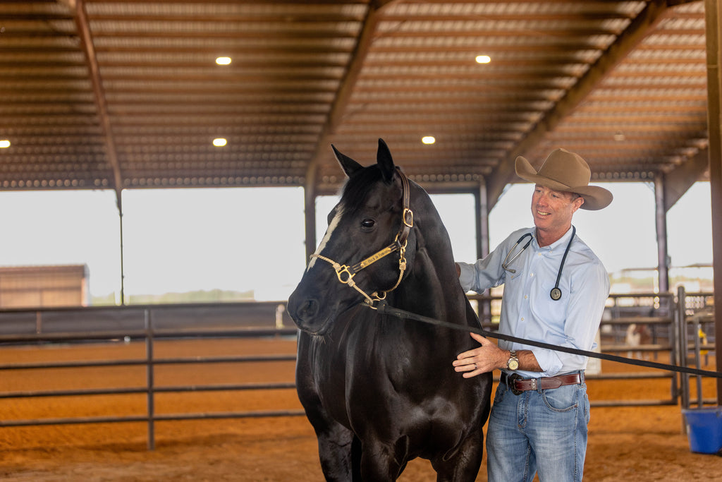 #1 Veterinary USED