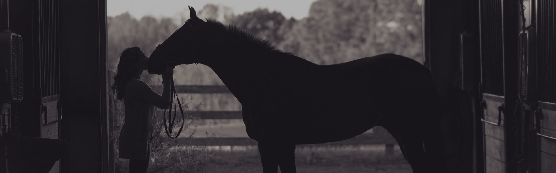 Woman petting horse in barn