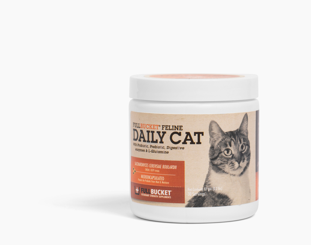 All Natural Daily Cat Probiotic for Digestion FullBucket Health