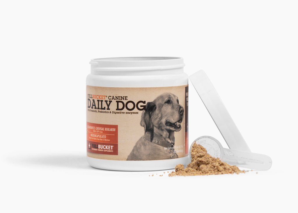 Daily probiotic for dogs outlet