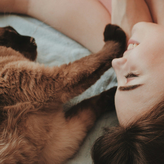 Do Cats Have Feelings?