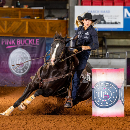 FullBucket's Pink Buckle Picks: The Horses and Humans You Need to Watch