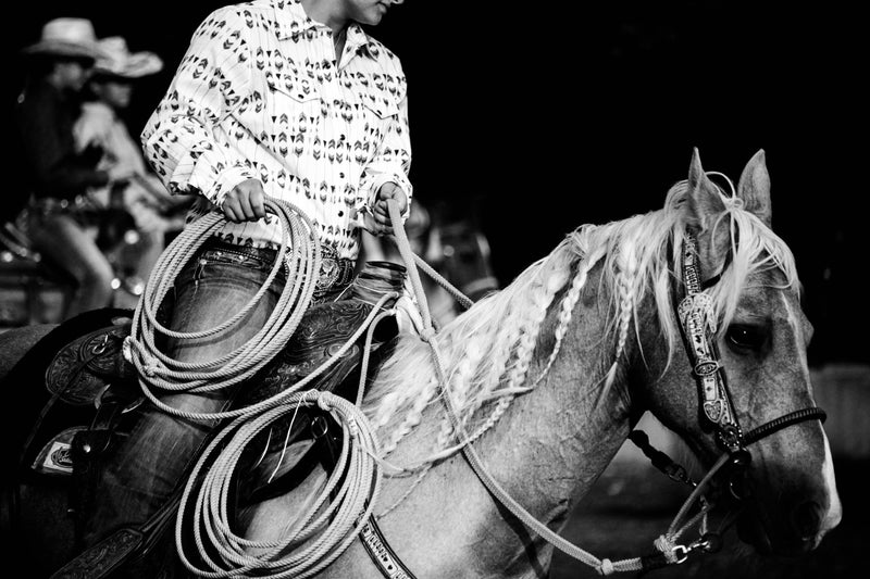 5 secrets for conditioning your horse