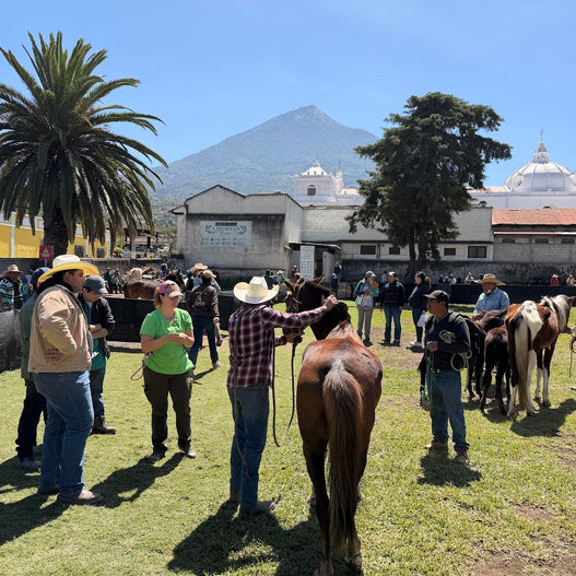 2026 Giving Trip Day 5: Hasta Pronto in Ciudad Vieja