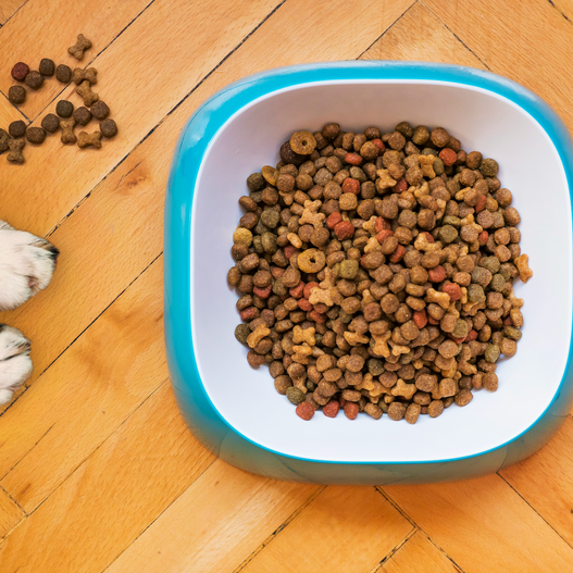 Defend Yourself From Dog Food Recalls