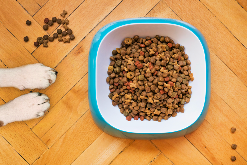Defend Yourself From Dog Food Recalls