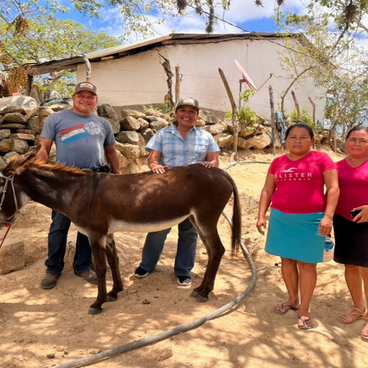 From the Field: A Quarter of Work in Guatemala