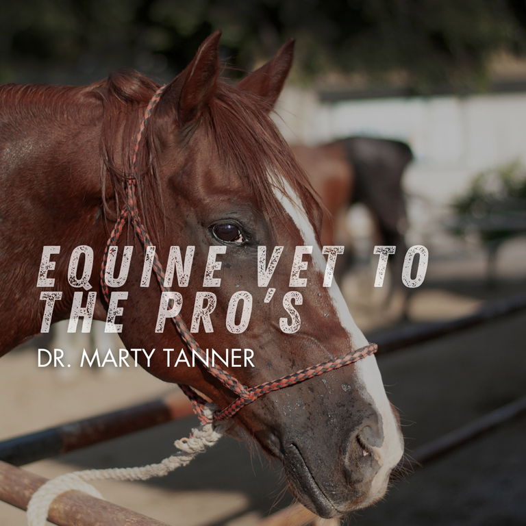 Inside the Top 15: Lessons From Dr. Marty Tanner– FullBucket Health