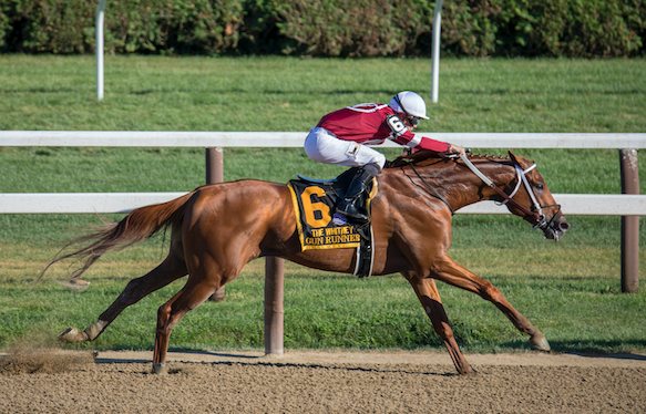 Does My Horse Need Electrolytes?