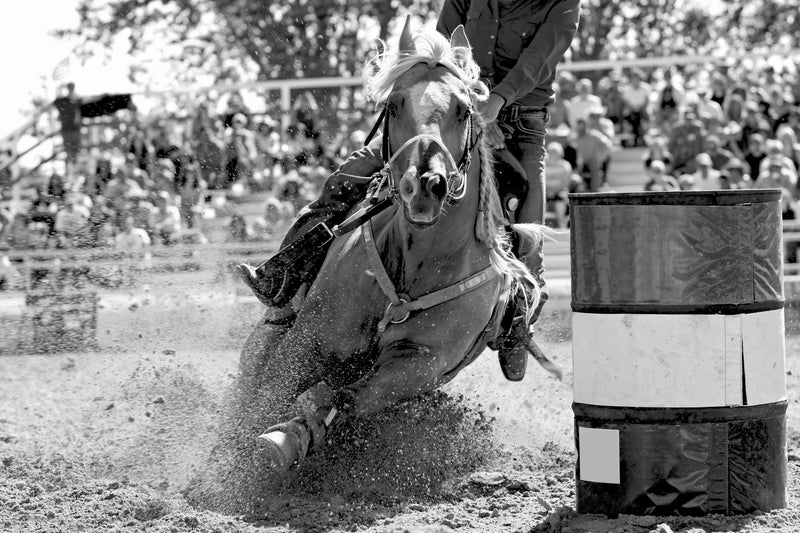 Creating Resilient Performance Horses