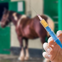 Understanding Your Horse’s Vaccination Schedule