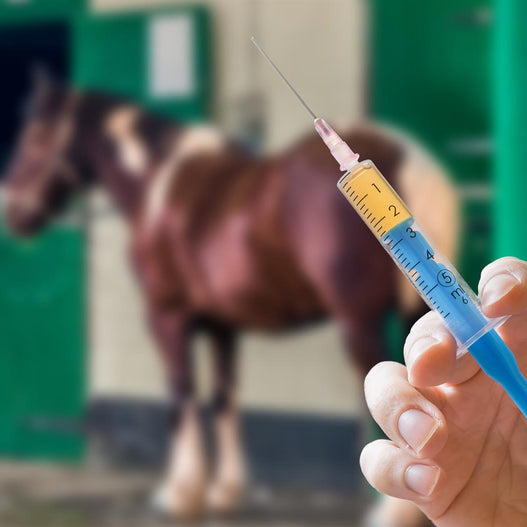 Understanding Your Horse’s Vaccination Schedule