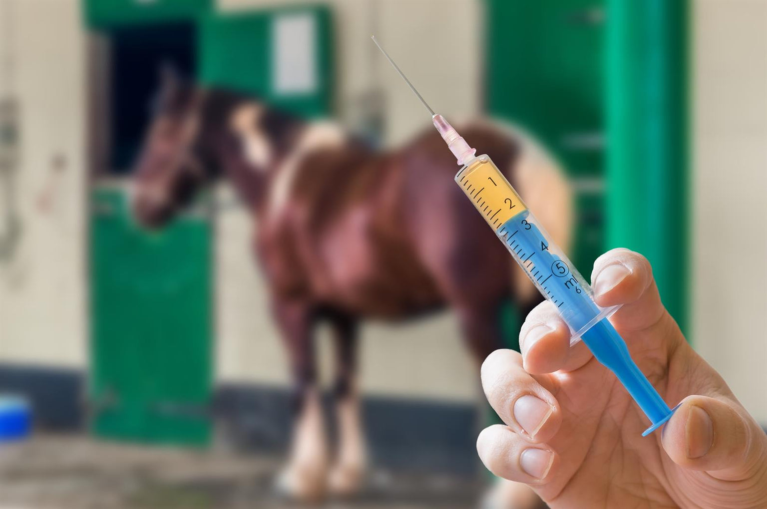 Understanding Your Horse’s Vaccination Schedule FullBucket Health