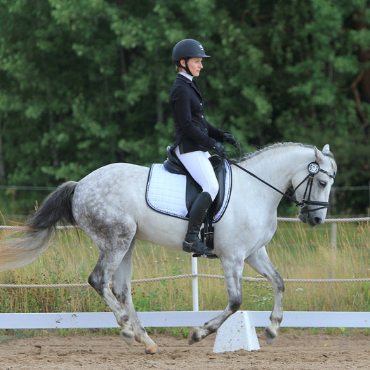 How to cross train your horse