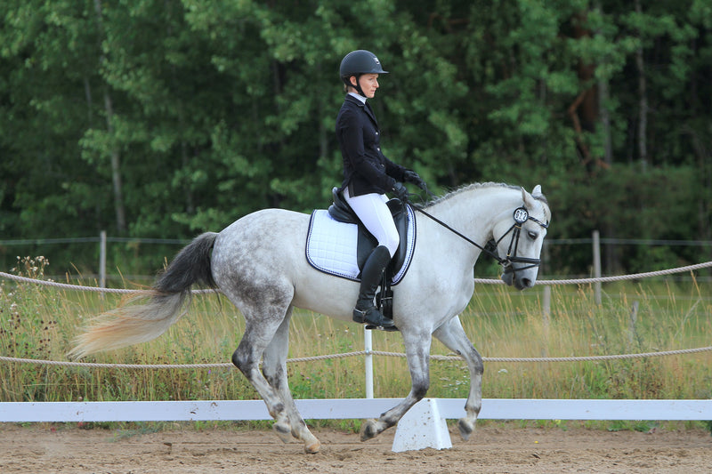 How to cross train your horse
