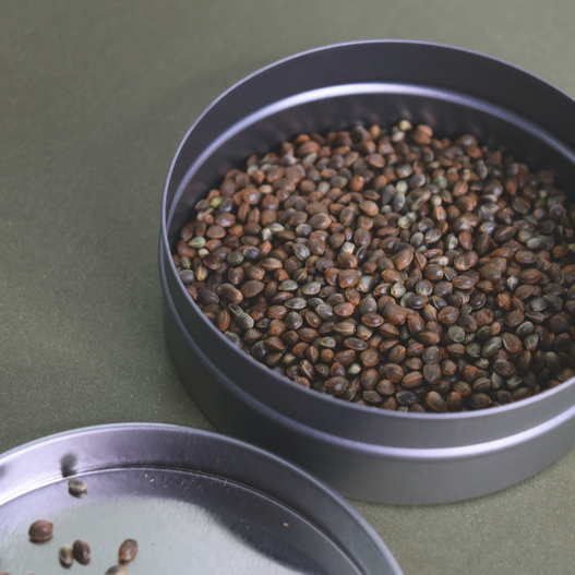 Can dogs eat hemp seeds?