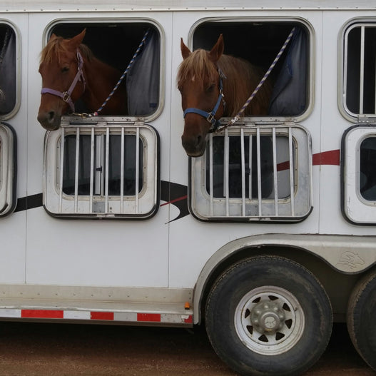 Horse Owner Disaster Preparedness