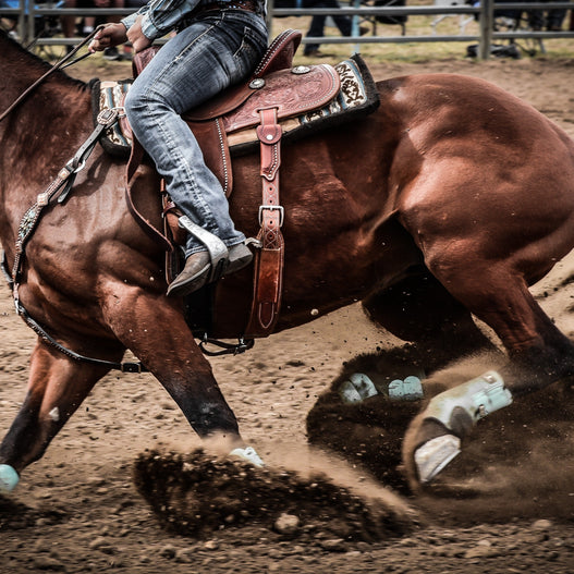 Why do horses get nose bleeds? And more about EIPH in horses