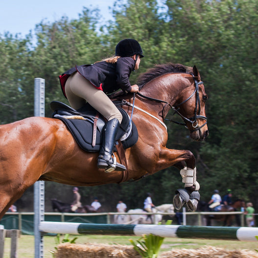 Why is digestible energy for horses important?