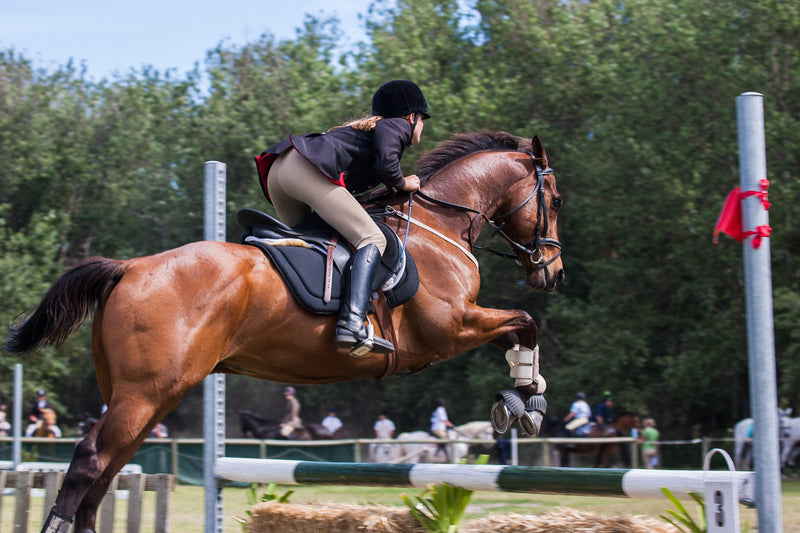 Why is digestible energy for horses important?