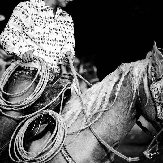 Amino acids for horses: A new trend?