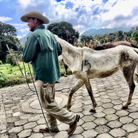 Coming Down From The Mountain