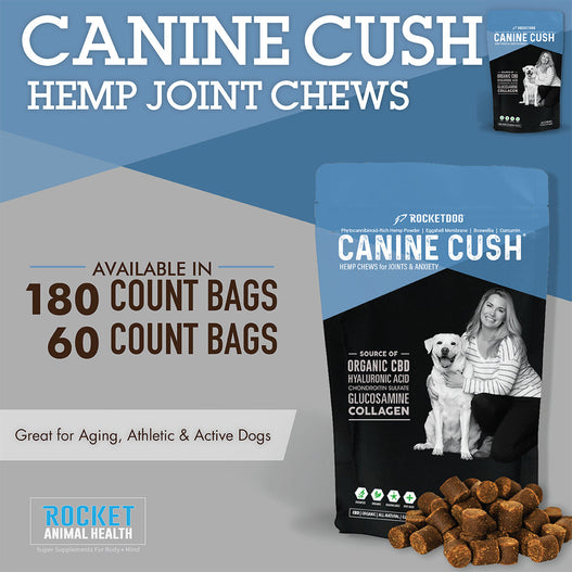 Welcome Rocket Animal Health