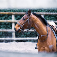 Treating laminitis in horses with functional nutrients