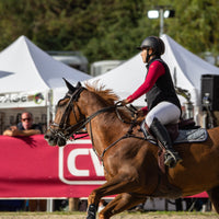 How to calm a nervous horse