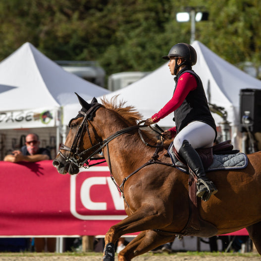 How to calm a nervous horse