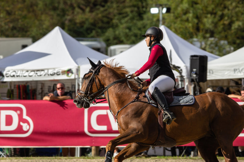 How to calm a nervous horse