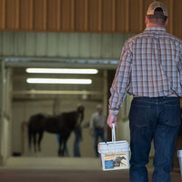 Your Horse's Gut Health: It's all about the microbiome