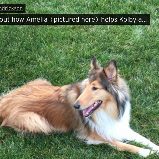 Audio interview with Kolby about the use of assistance dogs