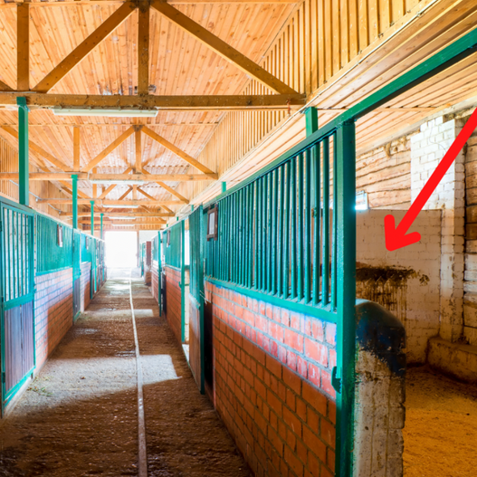 7 Causes of Free Fecal Water Syndrome In Horses