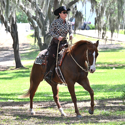 How to Tap Into Your Horse’s Full Performance Potential