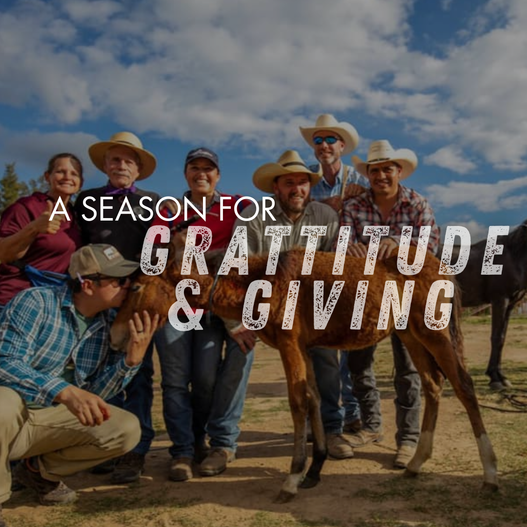 Grateful by the Bucket: The Heart Behind FullBucket’s Giving Mission