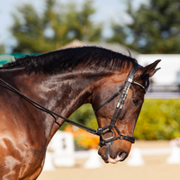 How to prevent tying up in horses