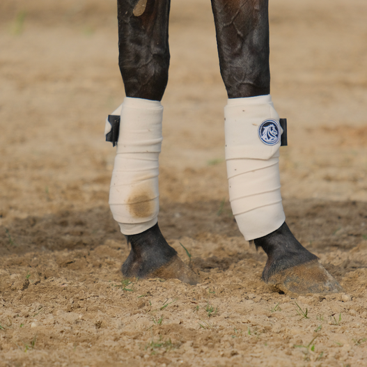 How to Wrap a Horse’s Leg