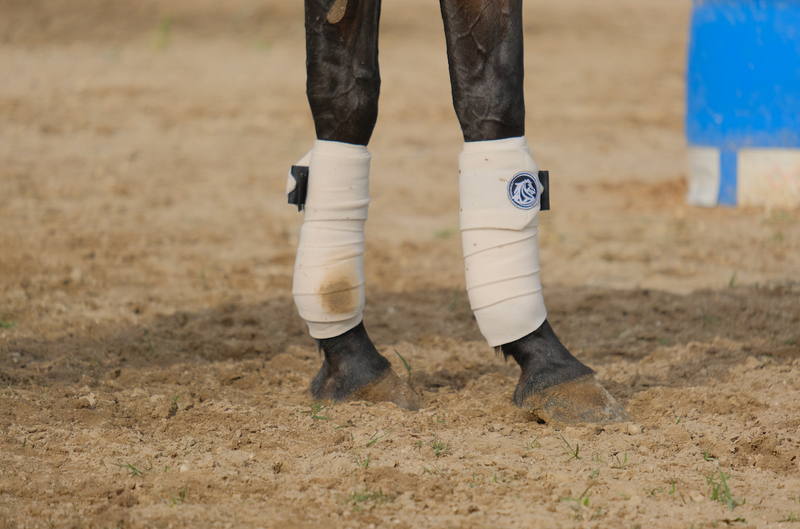 How to Wrap a Horse’s Leg