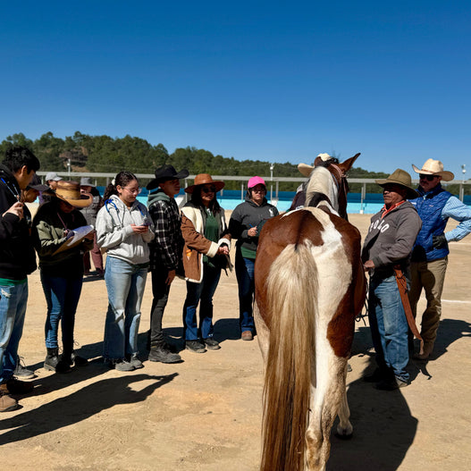 2026 Giving Trip Day 10: Endurance in Casco Urbano