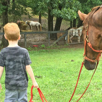 A Visit with Harnessing Hope