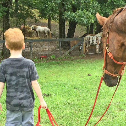 A Visit with Harnessing Hope