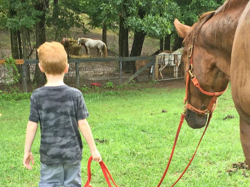 A Visit with Harnessing Hope