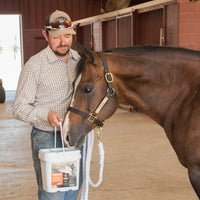 A Scientific Review of Equine Probiotics