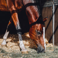 Understanding horse vitamins and minerals