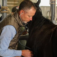 2,000 Mares Later: What 1 Vet Wants You To Know