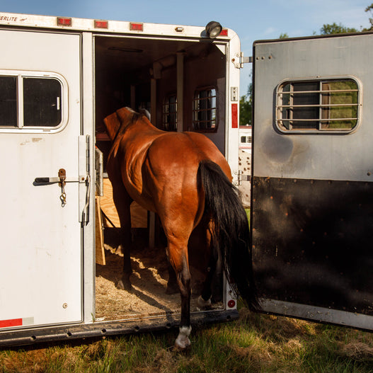 Traveling With Horses? Here’s What You Might Need