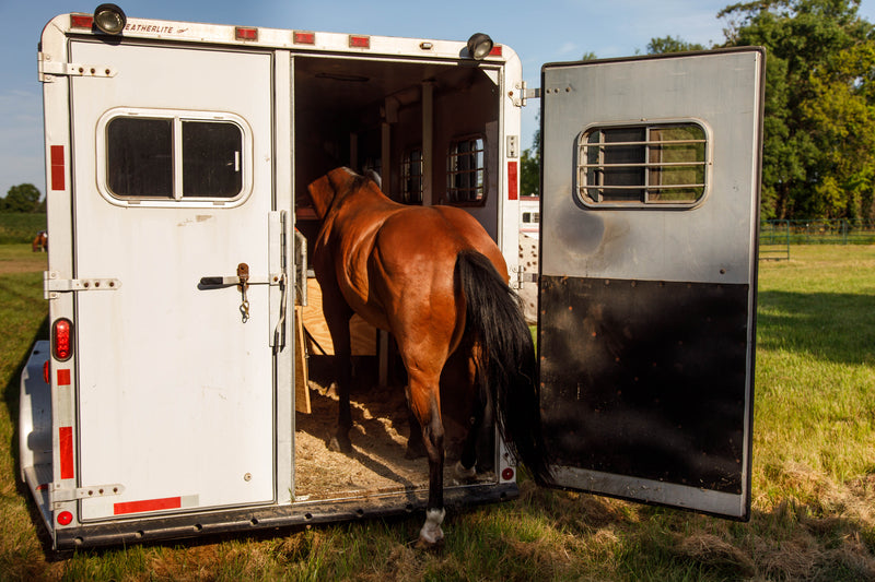 Traveling With Horses? Here’s What You Might Need