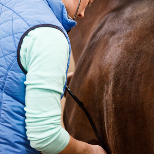How to Combat Hindgut Ulcers in Horses